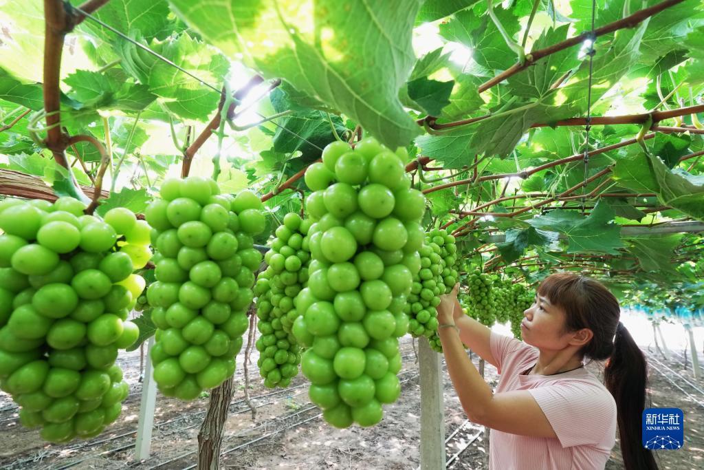 威尼斯人亚洲